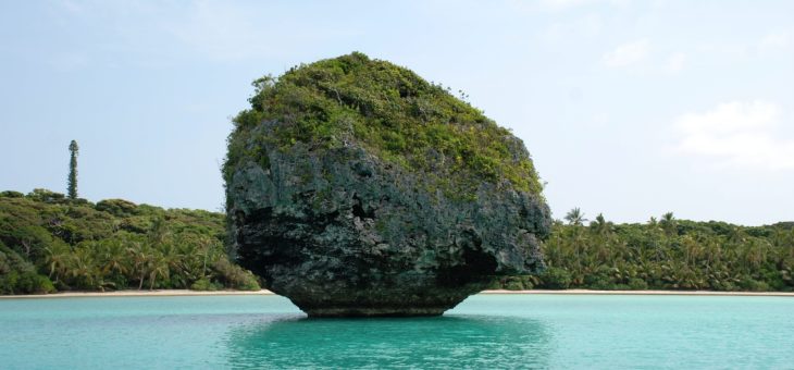 Prémière lâcher de moustique contre la dengue à nouméa.