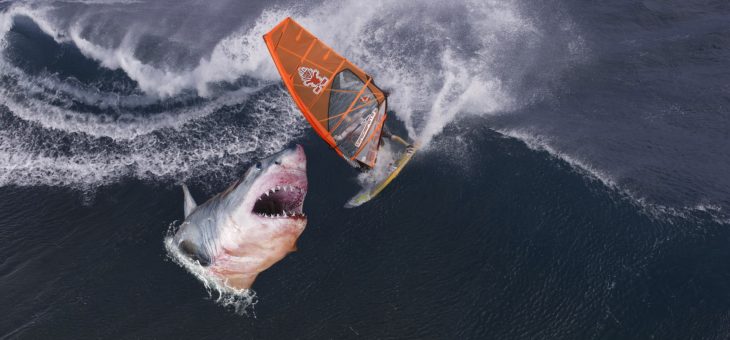 Un enfant à la jambe arraché par un requin.